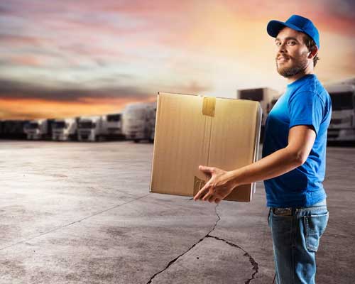 Surface Delivery in Delhi & Across India