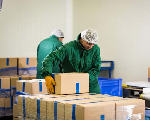 Packaging Solutions in Delhi: Secure & Customized Packing by Shipment Saathi