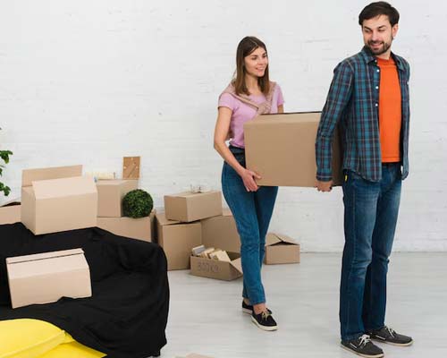 Professional Packers and Movers in Delhi