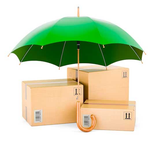 Why Choose Shipment Saathi for Customized Logistics in Delhi?